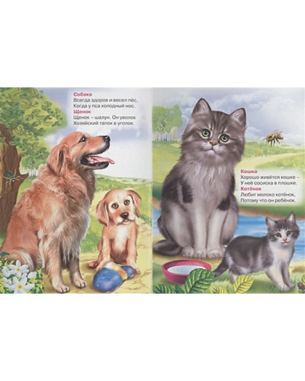 Большие и маленькие