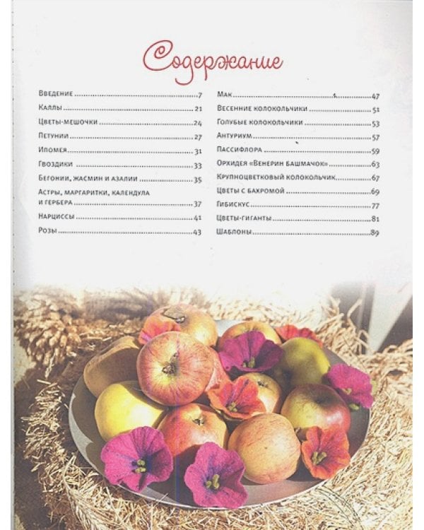 Цветы из шерсти.Оригинальные модели в технике фелтинг