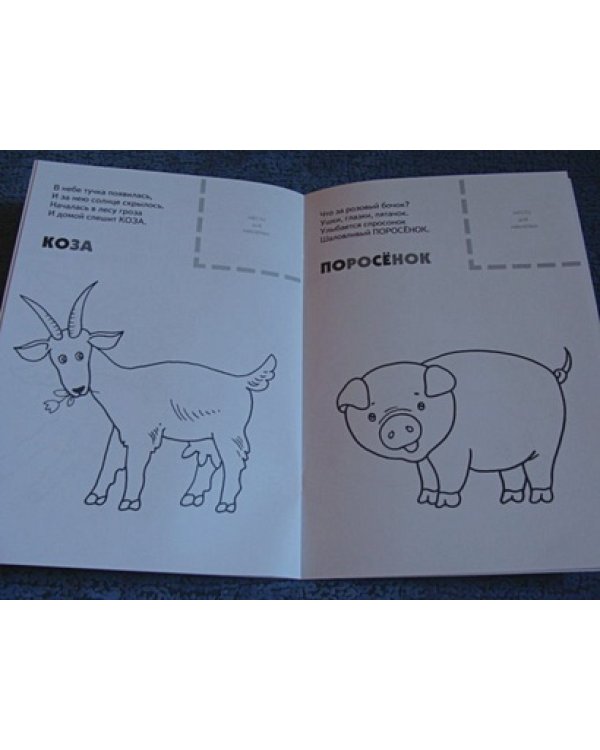 Домашние животные