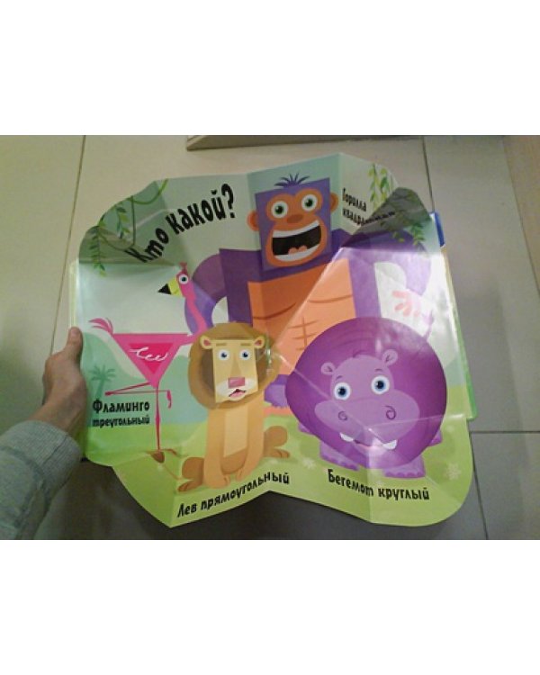 Кто бывает круглым?