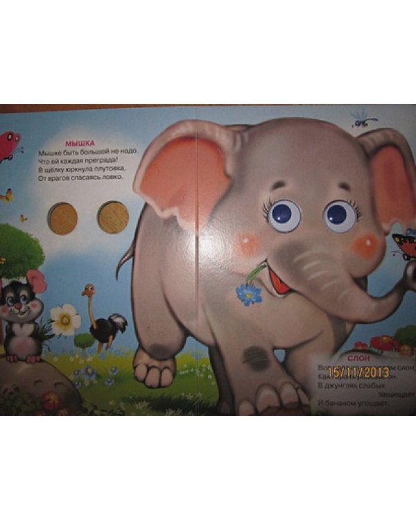 Кто большой,кто маленький?