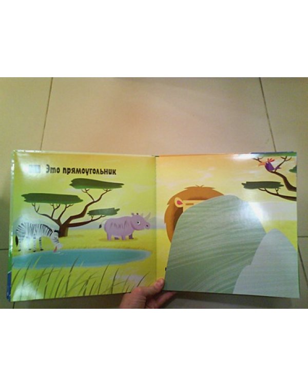 Кто бывает круглым?