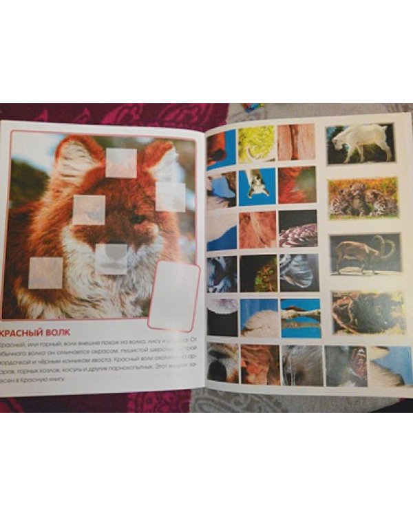 Кто живет в горах.Кн.с накл.