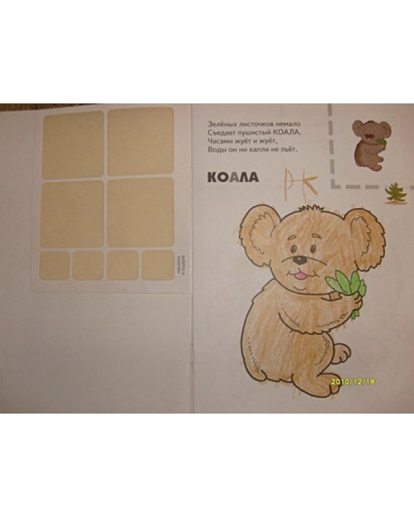 Животные жарких стран