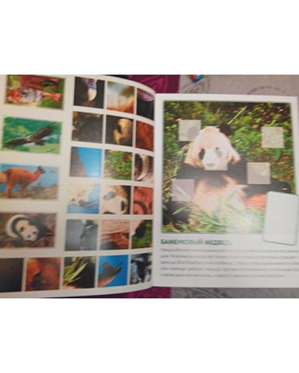 Кто живет в горах.Кн.с накл.