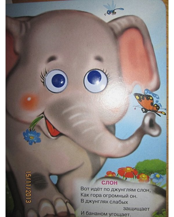 Кто большой,кто маленький?