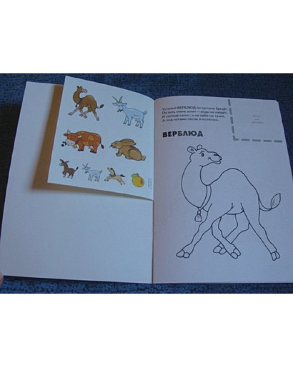 Домашние животные