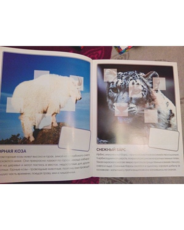 Кто живет в горах.Кн.с накл.