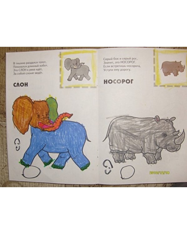 Животные жарких стран