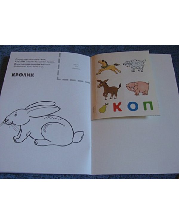 Домашние животные