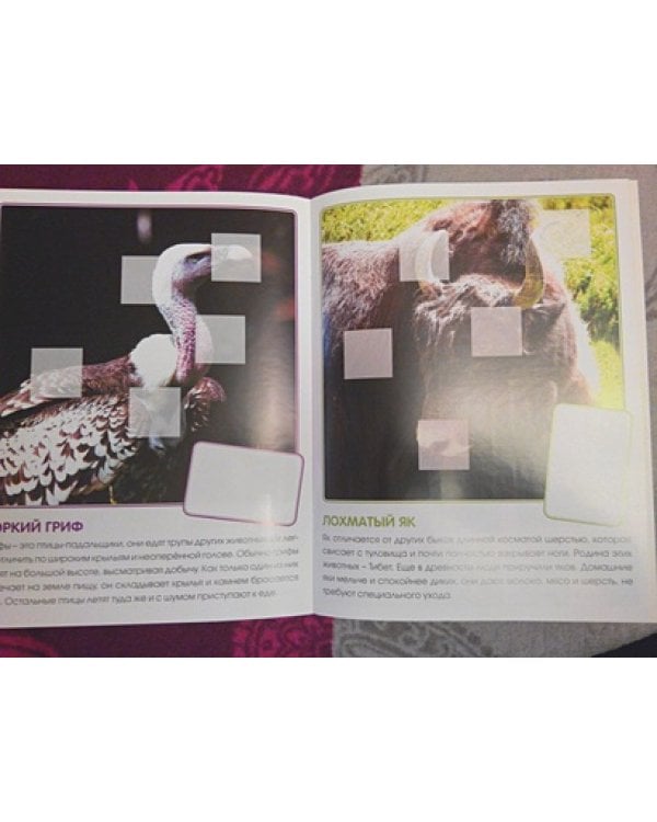 Кто живет в горах.Кн.с накл.