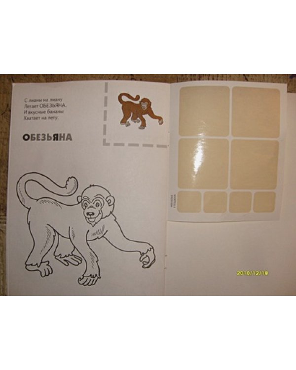 Животные жарких стран