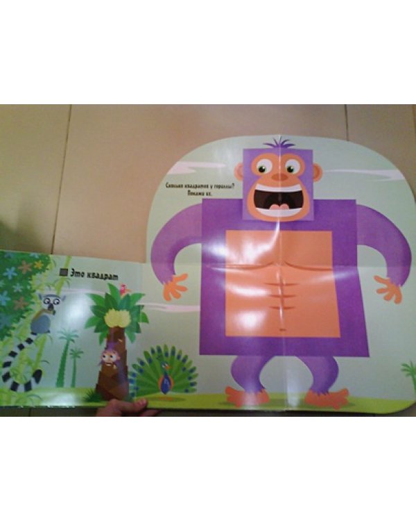 Кто бывает круглым?