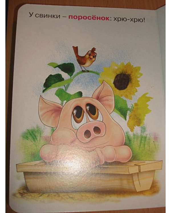 Чьи это детки