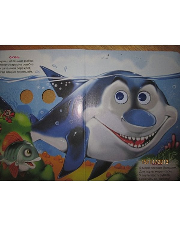 Кто большой,кто маленький?