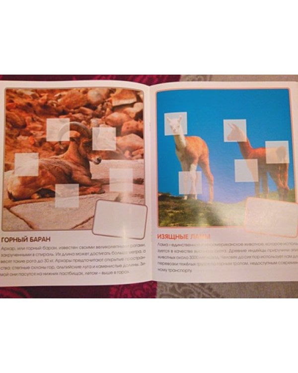 Кто живет в горах.Кн.с накл.