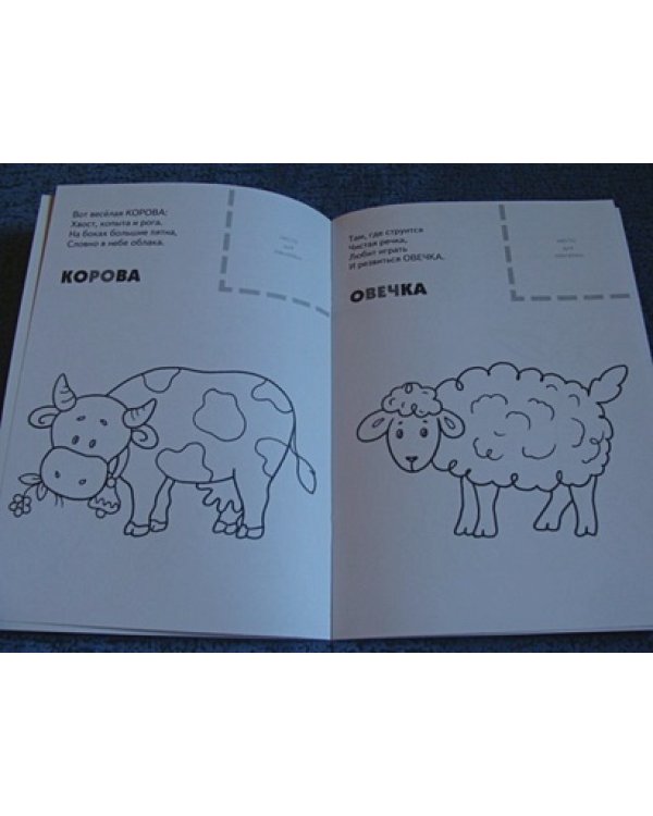 Домашние животные