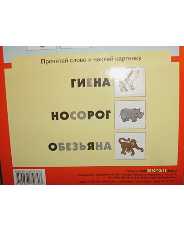 Животные жарких стран