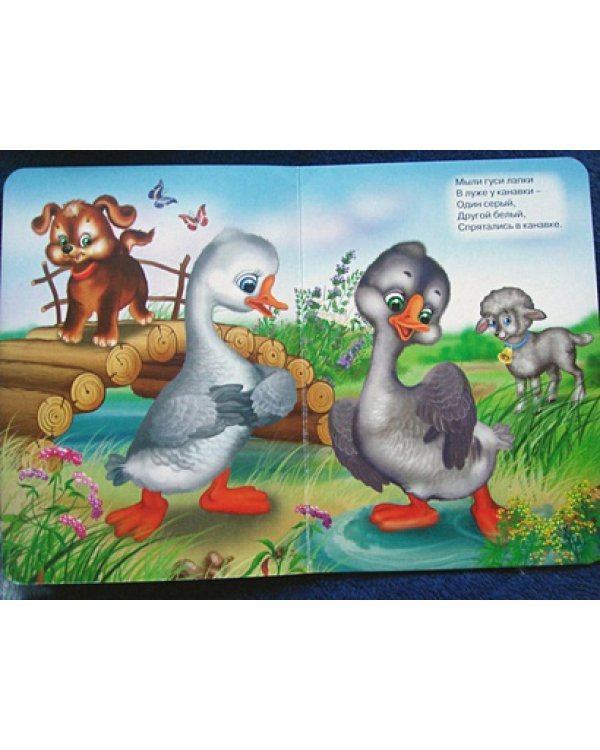 Два веселых гуся