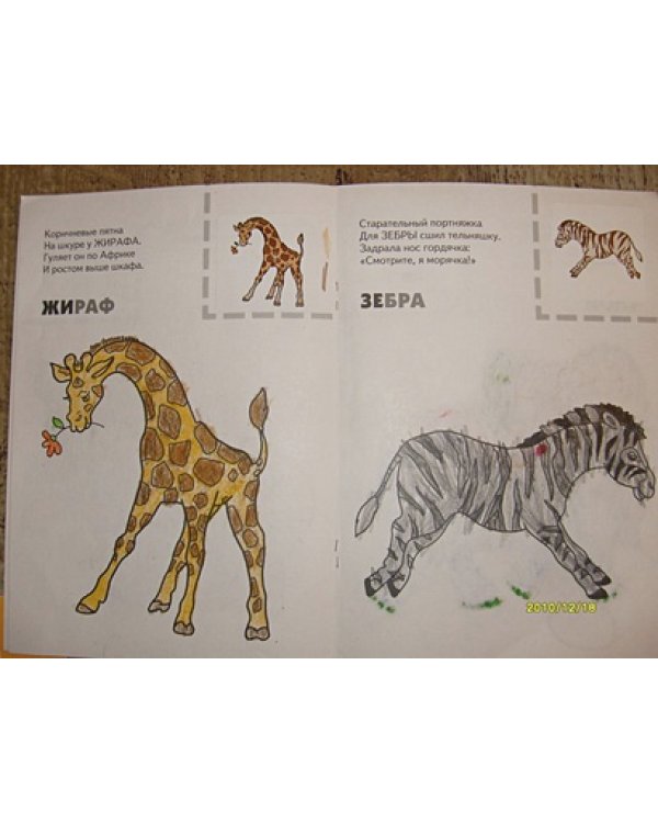 Животные жарких стран