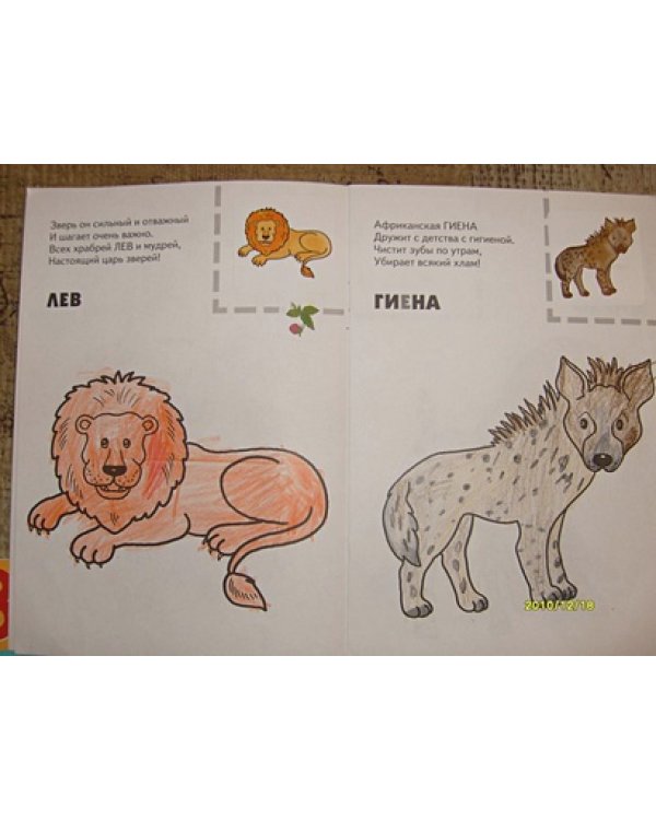 Животные жарких стран