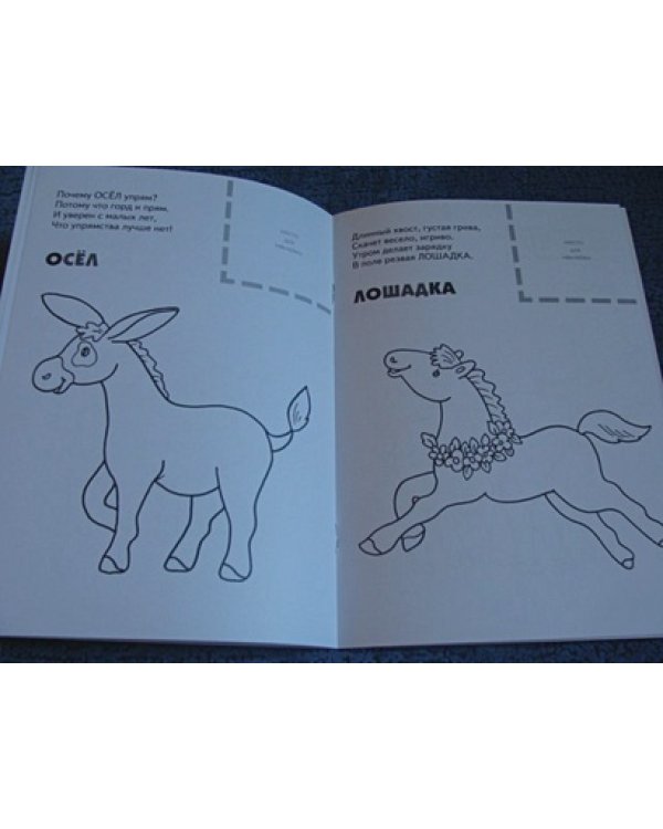 Домашние животные