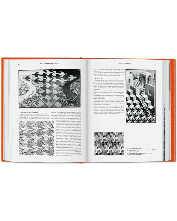 The Magic Mirror of M.C. Escher