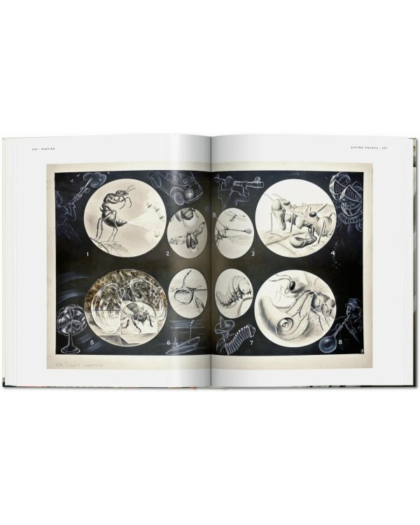 Fritz Kahn. Infographics Pioneer