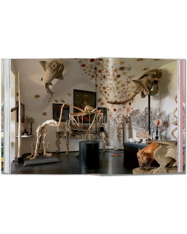Massimo Listri. Cabinet of Curiosities. 40th Ed.