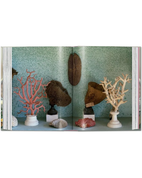 Massimo Listri. Cabinet of Curiosities. 40th Ed.