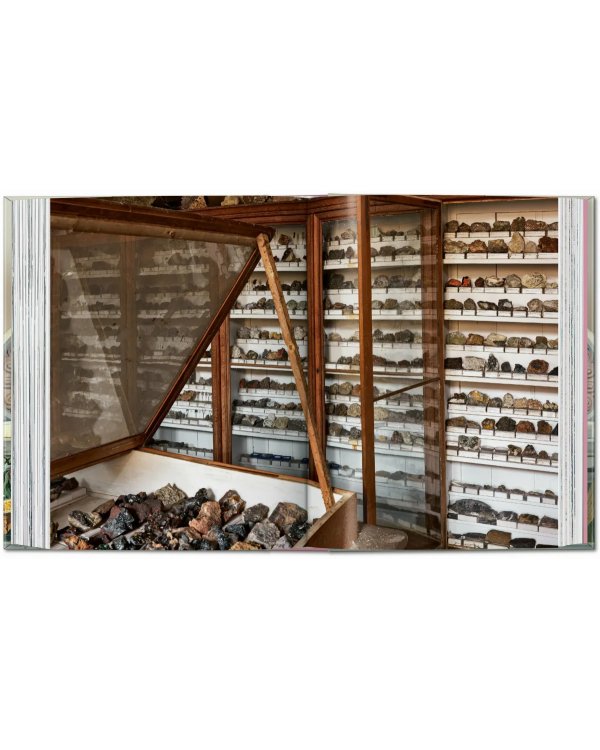 Massimo Listri. Cabinet of Curiosities. 40th Ed.