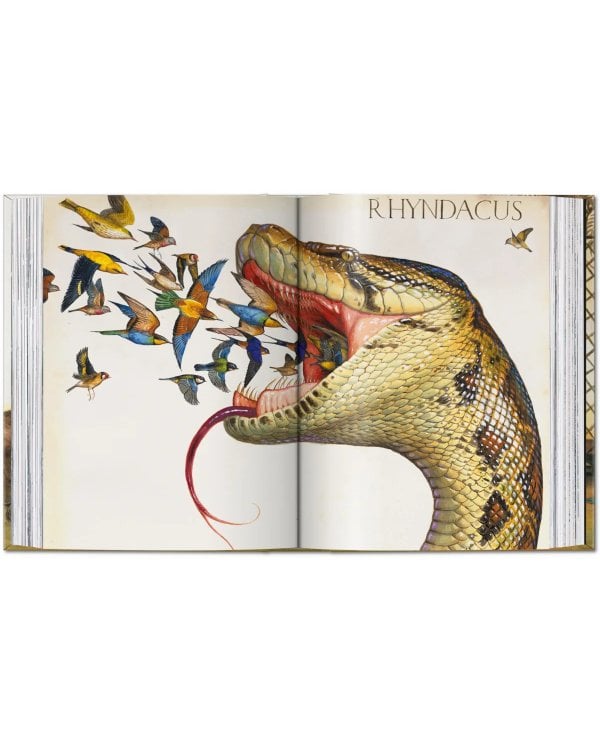 Walton Ford. 40th Ed.