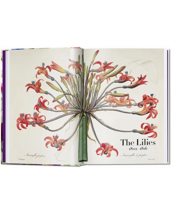 Redouté. The Book of Flowers. 40th Ed.