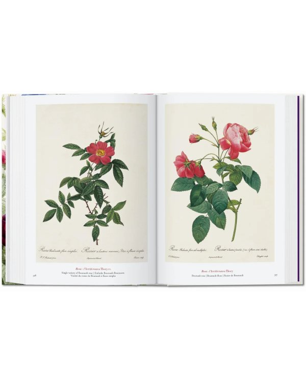 Redouté. The Book of Flowers. 40th Ed.