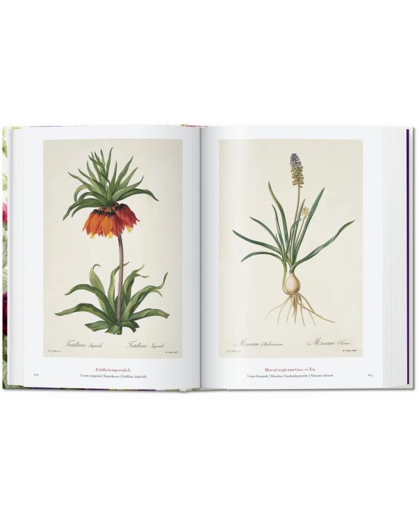 Redouté. The Book of Flowers. 40th Ed.