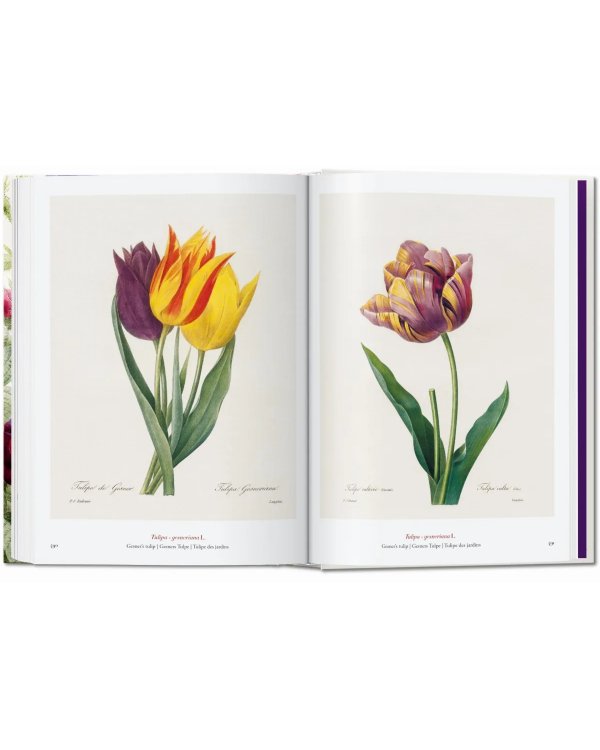Redouté. The Book of Flowers. 40th Ed.