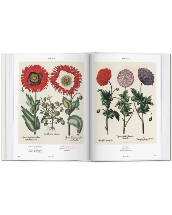 Basilius Besler's Florilegium. The Book of Plants