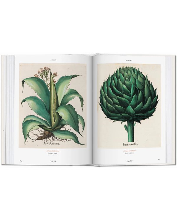 Basilius Besler's Florilegium. The Book of Plants