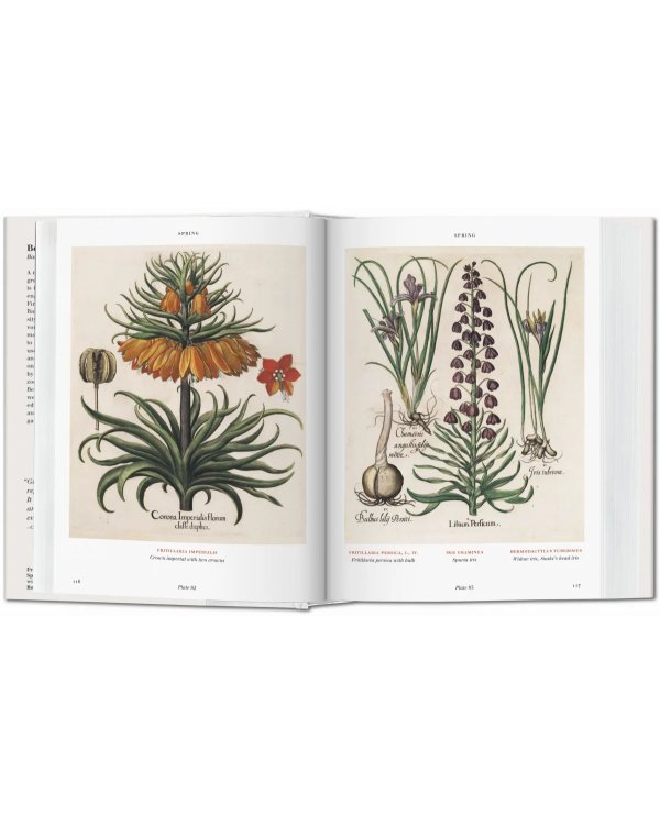 Basilius Besler's Florilegium. The Book of Plants