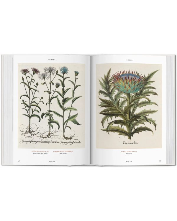 Basilius Besler's Florilegium. The Book of Plants