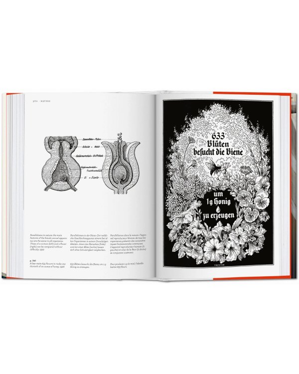 Fritz Kahn. Infographics Pioneer