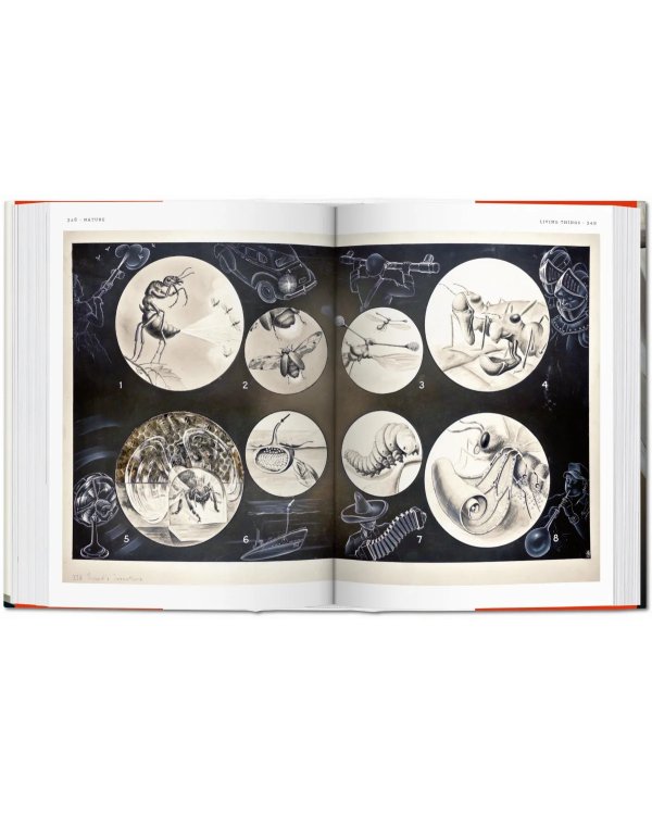 Fritz Kahn. Infographics Pioneer