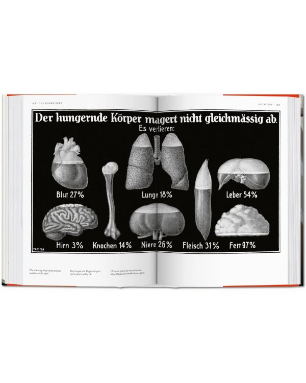 Fritz Kahn. Infographics Pioneer