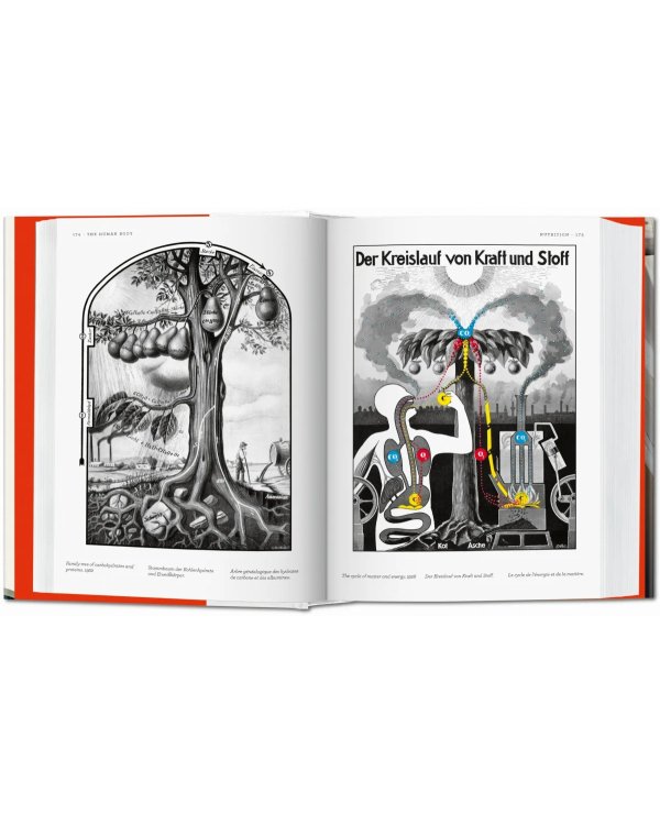 Fritz Kahn. Infographics Pioneer