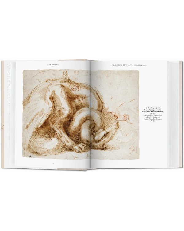 Michelangelo. Drawings