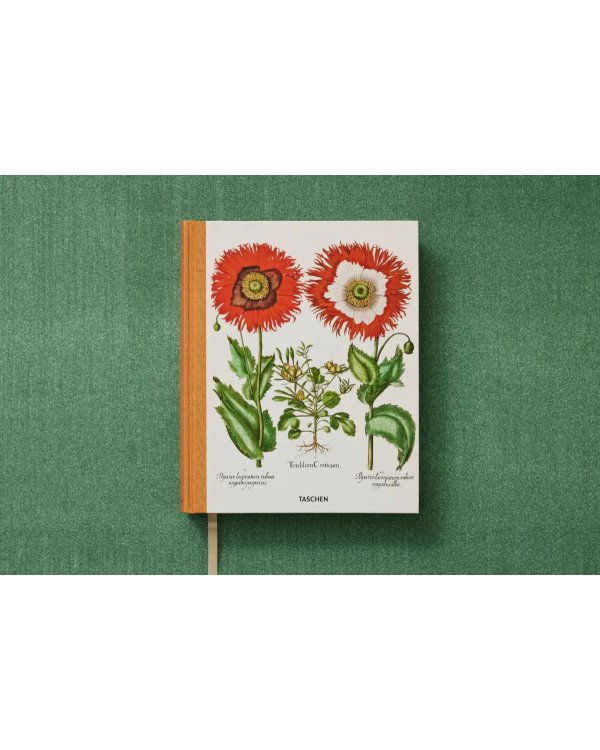 Basilius Besler. The Garden at Eichstätt