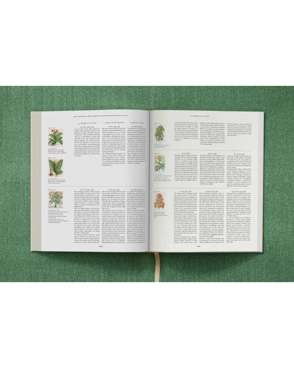 Basilius Besler. The Garden at Eichstätt