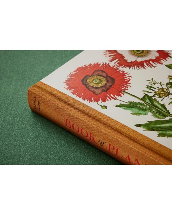 Basilius Besler. The Garden at Eichstätt