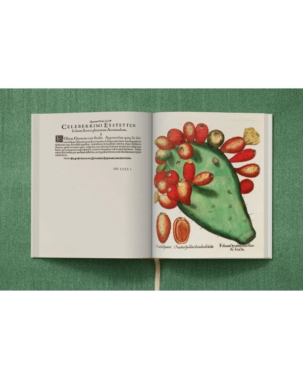 Basilius Besler. The Garden at Eichstätt