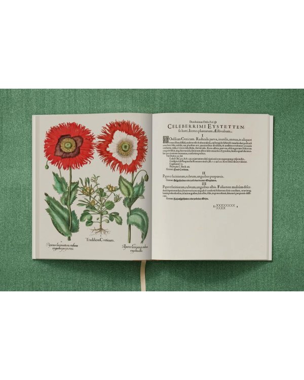 Basilius Besler. The Garden at Eichstätt